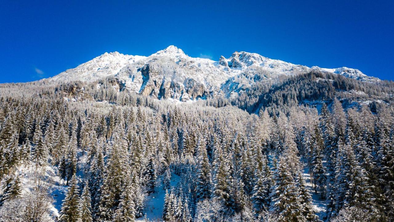 Apartmenthaus Mountainvista Kleinarl Eksteriør bilde